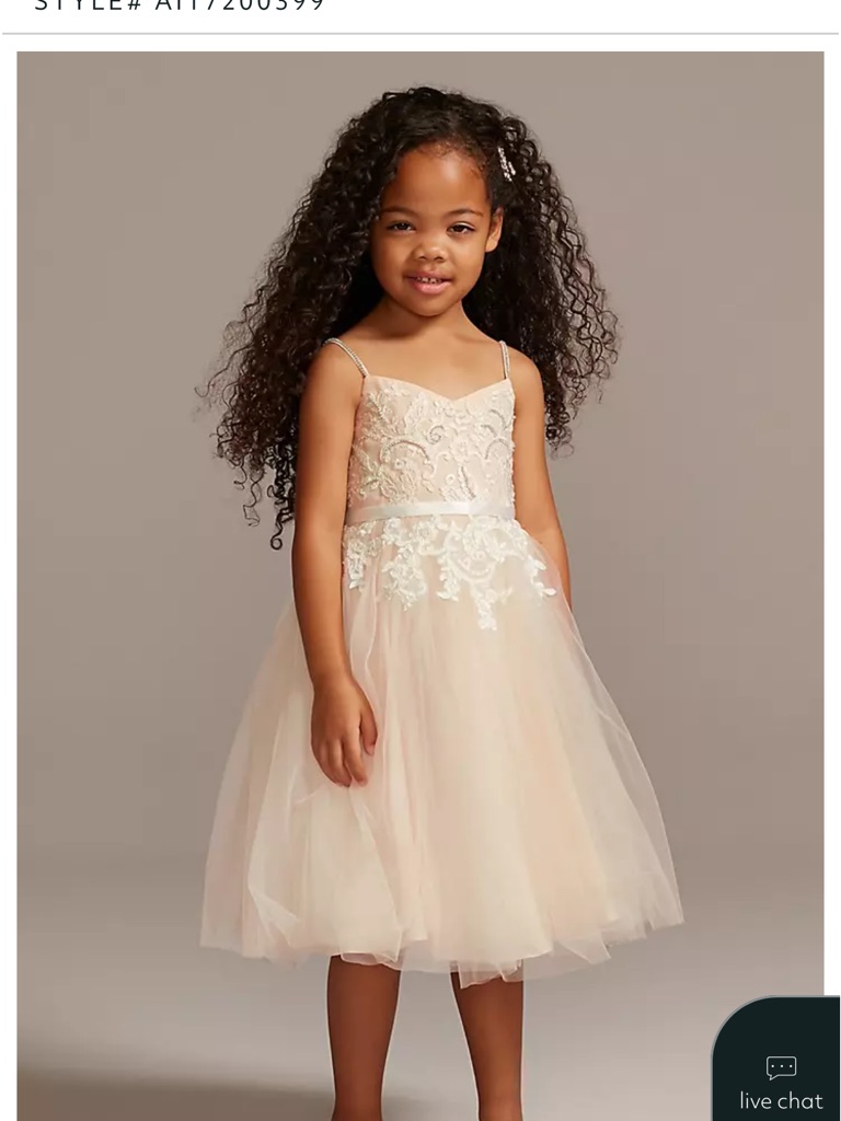 David's Bridal Ivory Floral Appliqu Spaghetti Strap Flower Girl Dress